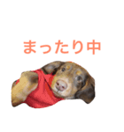 RAMU'S STAMP（個別スタンプ：7）