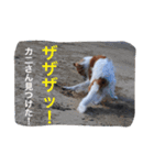 ぼくのパンとカニ（個別スタンプ：2）