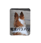 ぼくのパンとカニ（個別スタンプ：4）
