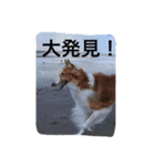 ぼくのパンとカニ（個別スタンプ：5）