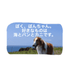 ぼくのパンとカニ（個別スタンプ：8）
