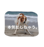 ぼくのパンとカニ（個別スタンプ：10）