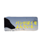 ぼくのパンとカニ（個別スタンプ：13）