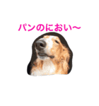 ぼくのパンとカニ（個別スタンプ：15）
