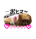 maron.karen（個別スタンプ：3）