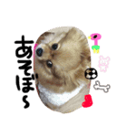 maron.karen（個別スタンプ：5）