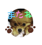 maron.karen（個別スタンプ：7）
