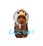 桃梨と健太（個別スタンプ：8）