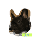 Bardie（個別スタンプ：2）