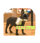 Bardie（個別スタンプ：4）