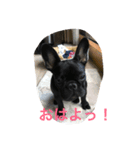 Bardie（個別スタンプ：5）