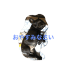 Bardie（個別スタンプ：7）