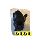 Bardie（個別スタンプ：8）