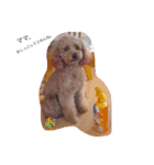 愛犬チョッパー。（個別スタンプ：3）