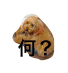 愛犬チョッパー。（個別スタンプ：4）