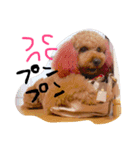 愛犬チョッパー。（個別スタンプ：7）