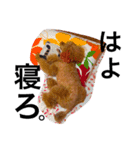愛犬チョッパー。（個別スタンプ：8）