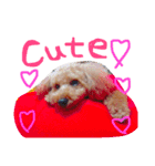 愛犬チョッパー。（個別スタンプ：15）