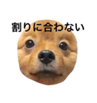 シジミ8くんの後ろ向き発言集（個別スタンプ：38）