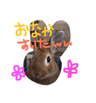 hirochiro（個別スタンプ：8）