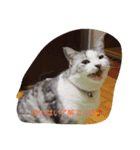 Yuzu Chan Sticker（個別スタンプ：2）