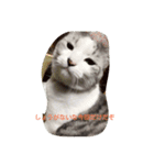 Yuzu Chan Sticker（個別スタンプ：4）