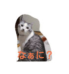 Yuzu Chan Sticker（個別スタンプ：5）