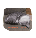Yuzu Chan Sticker（個別スタンプ：8）