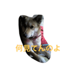 タローちゃん（個別スタンプ：5）