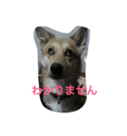 タローちゃん（個別スタンプ：7）