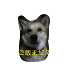 タローちゃん（個別スタンプ：8）