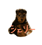 いつでもcherie2（個別スタンプ：6）