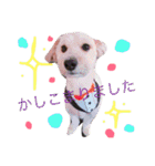 gen.ken（個別スタンプ：4）