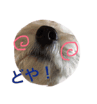 gen.ken（個別スタンプ：9）