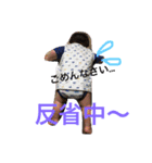 gen.ken（個別スタンプ：10）