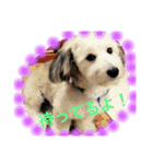 gen.ken（個別スタンプ：14）