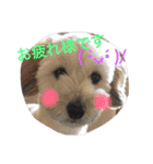 gen.ken（個別スタンプ：22）