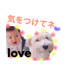 gen.ken（個別スタンプ：24）