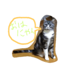 prettea06（個別スタンプ：1）