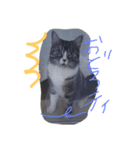 prettea06（個別スタンプ：2）