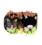 prettea06（個別スタンプ：6）
