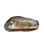 沙羅スタンプ（個別スタンプ：7）