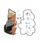 にこりちゃんの日々（個別スタンプ：15）