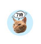 おおそらゴンちゃん（個別スタンプ：4）