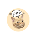おおそらゴンちゃん（個別スタンプ：5）
