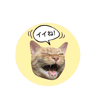 おおそらゴンちゃん（個別スタンプ：7）