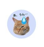 おおそらゴンちゃん（個別スタンプ：10）
