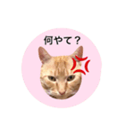 おおそらゴンちゃん（個別スタンプ：11）
