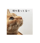 おおそらゴンちゃん（個別スタンプ：14）