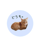 おおそらゴンちゃん（個別スタンプ：16）